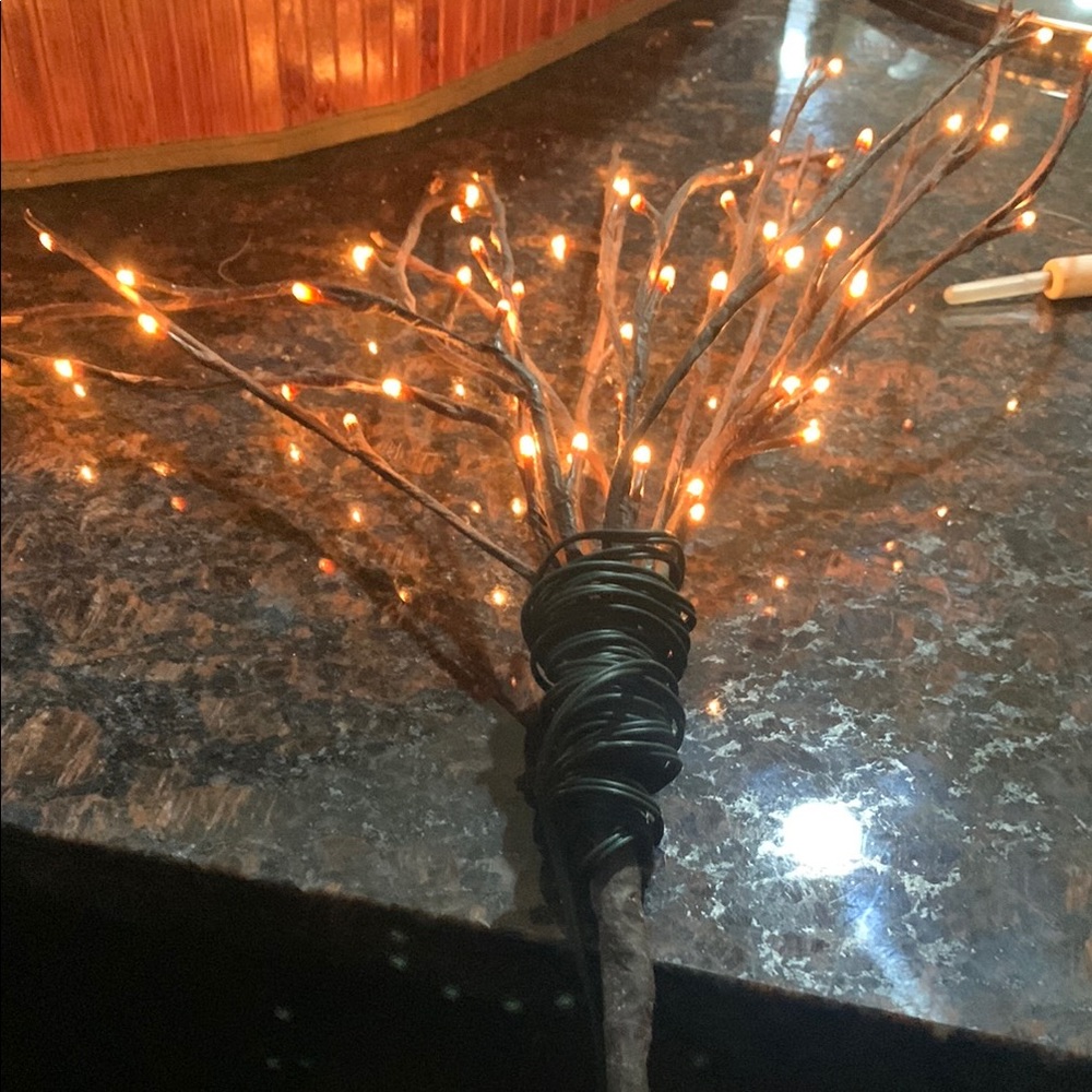 Warm LED Lighted Branches - Picture 4 of 4